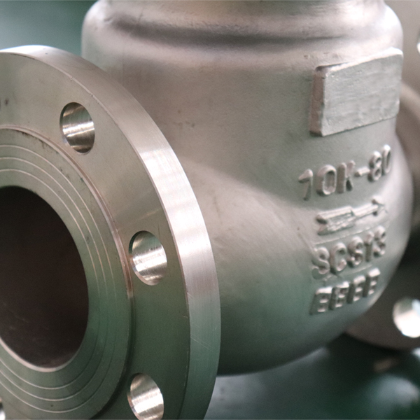 Stainless Steel Jis Standard K Scs Swing Type Flange Check Valve